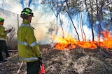 Fire management staff monitor a prescribed burn