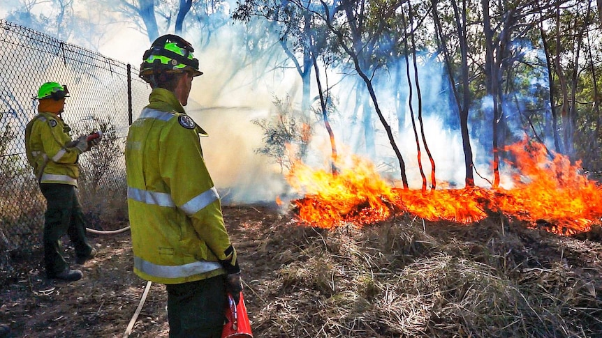 Fire management staff monitor a prescribed burn