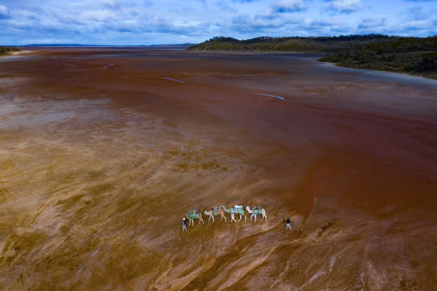 An aerial shot of an open red plain with four camels and two people on it.