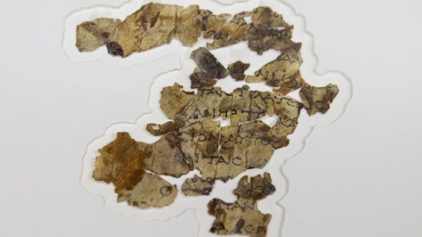Ancient Dead Sea Scroll fragments discovered in Judean Desert