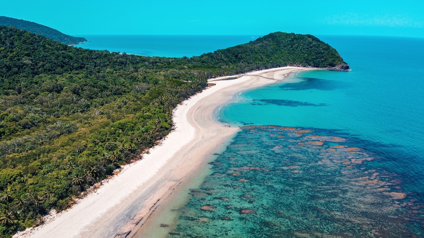 An aerial photo of bright coral on the Great Barrier Reef near a beach, right next to the lush Daintree Rainforest.