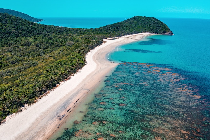 An aerial photo of bright coral on the Great Barrier Reef near a beach, right next to the lush Daintree Rainforest.