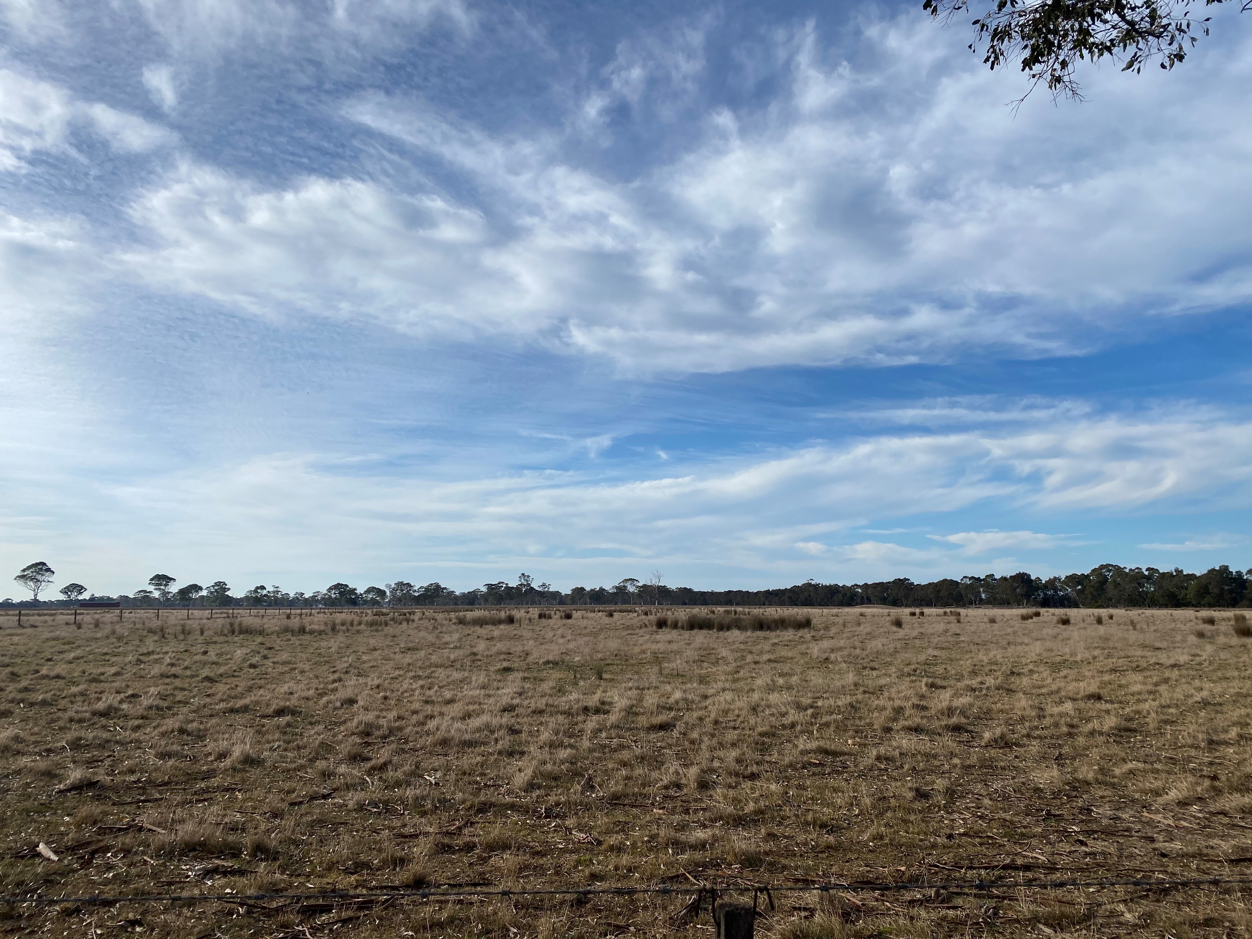 looking across a a parched paddock towards the horizon 