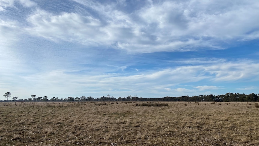 looking across a a parched paddock towards the horizon 