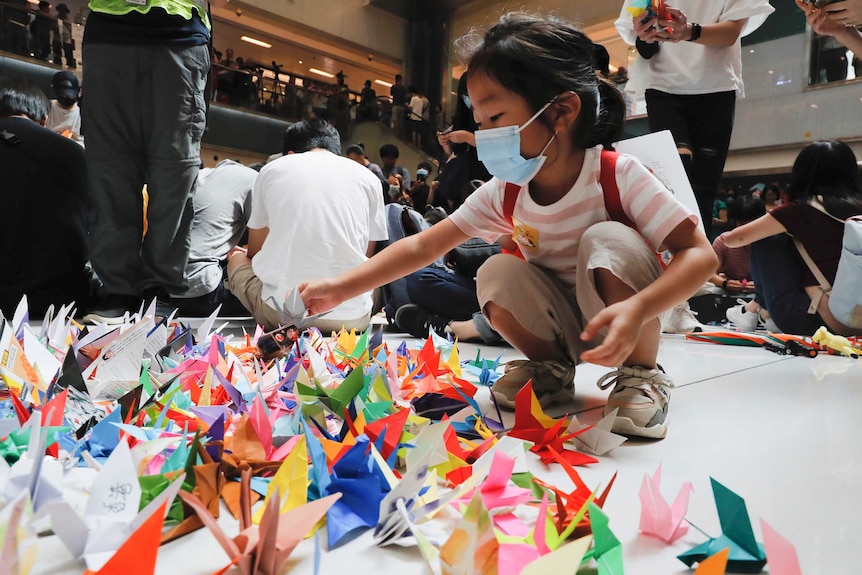 A child arranges origami cranes used in an anti-government rally inside a shopping mall in Hong Kong.