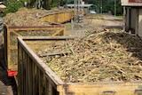Bins full of harvested sugar cane arrive by rail at a sugar mill in Mossman, north of Cairns in far north Queensland.