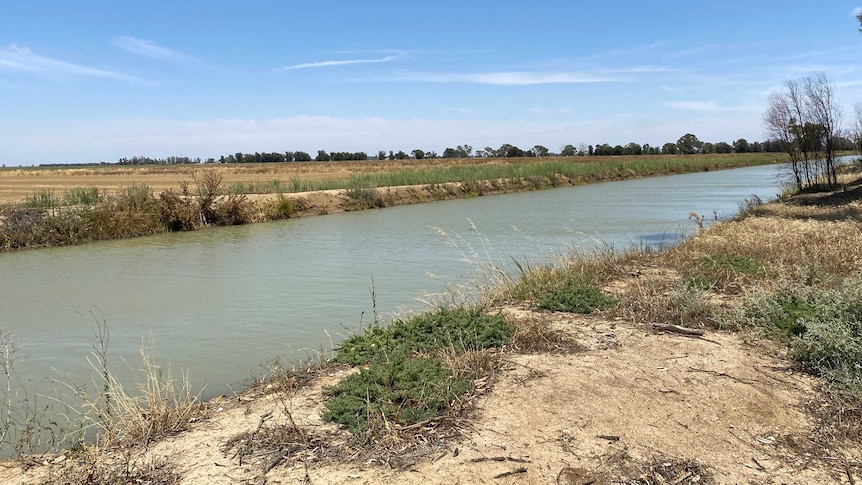 A channel of water in the foreground, a brown paddock in the background and blue sky.