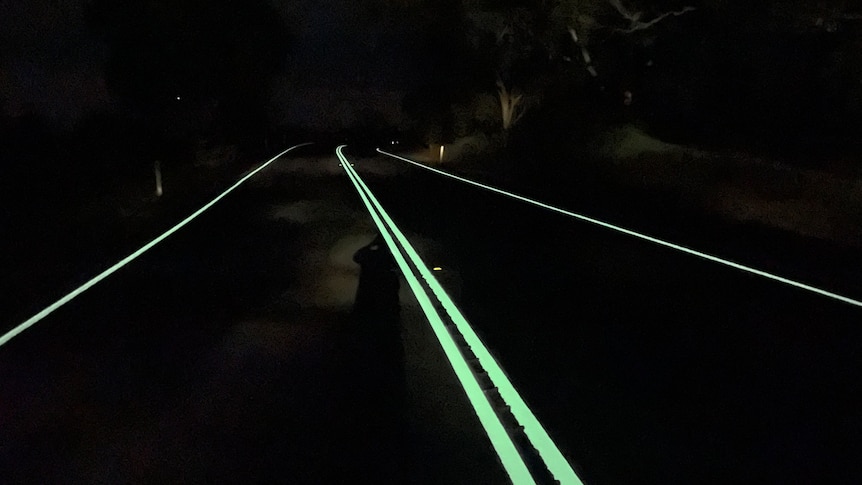 A road at night with glow-in-the-dark markings.