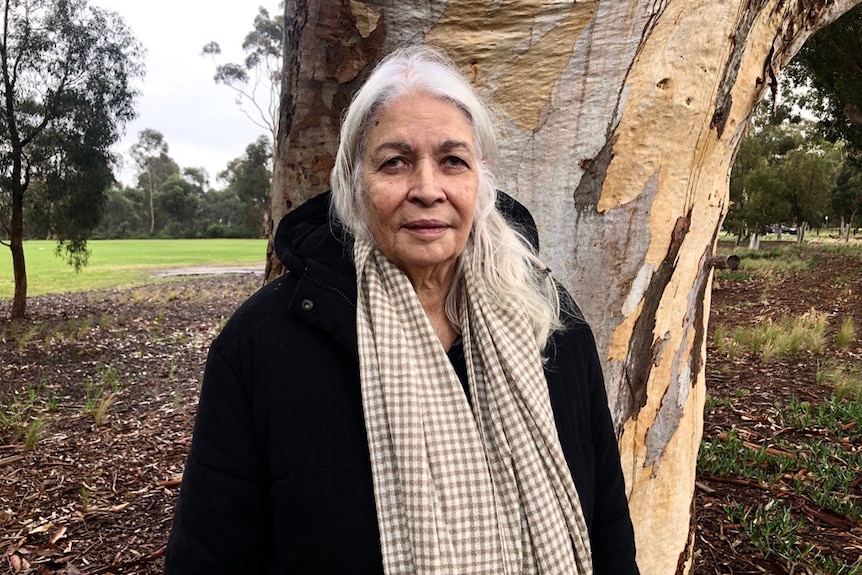 A woman with long grey hair, wearing a checked scarf and black coat, stands in front of a tree.