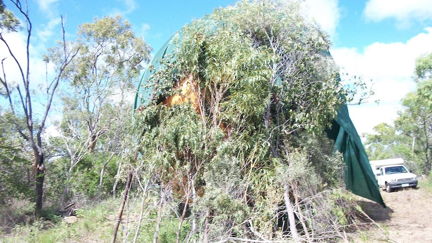 Bowen's missing Big Mango found lying in the bush behind the information centre where it usually sits