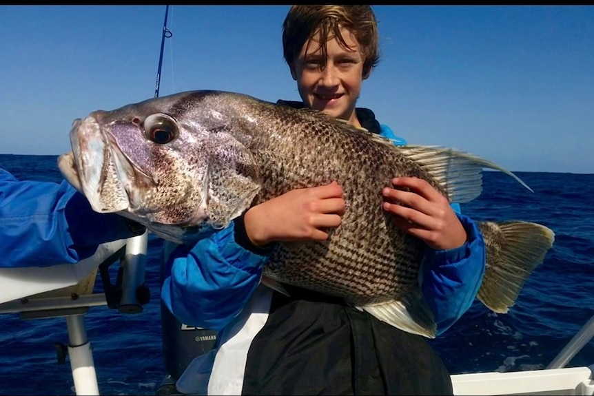 A young kid on a boat holding a massive fish he caught.
