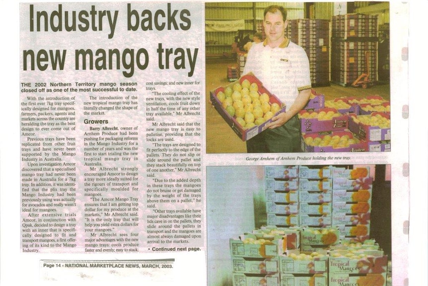 Old newspaper story on mango boxes