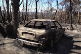 Burnt out car near Gumeracha