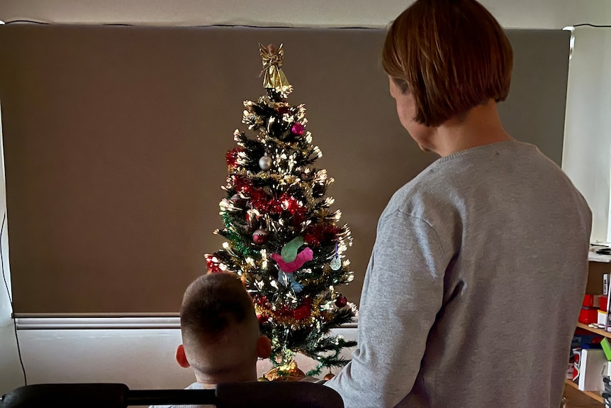 A mother and a son look at a small Christmas tree.