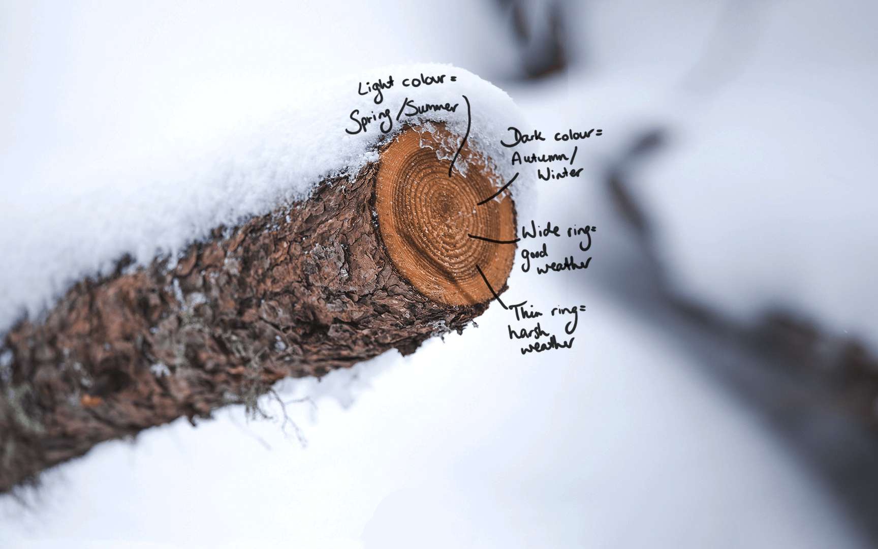 A pocket guide to climate change - ABC News