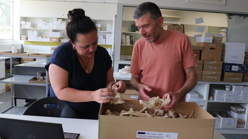 woman and man examining animal skeleton