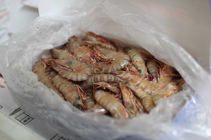 tiger prawns in a box