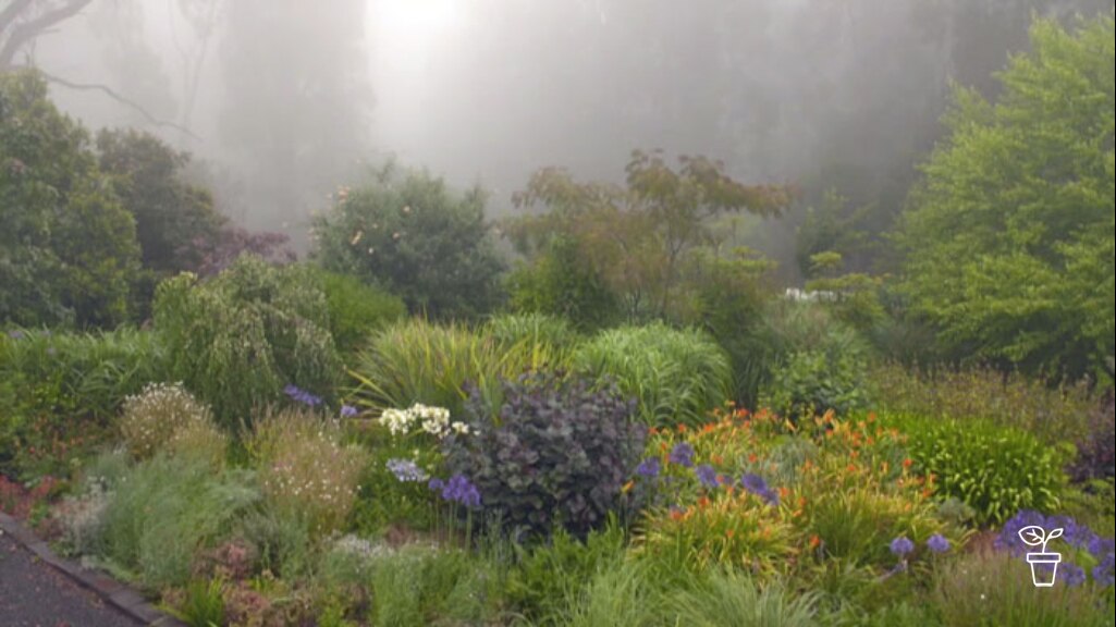 The Art of Perennials - Gardening Australia