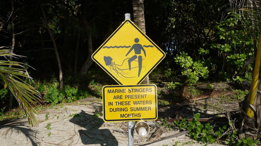 Jellyfish warning in Australia