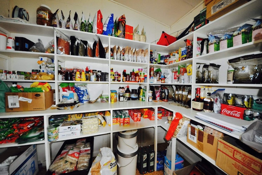 A pantry full of food supplies.