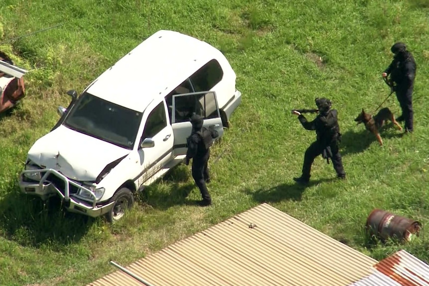 Three armed tactical police with a dog search a white four wheel drive with their guns drawn.