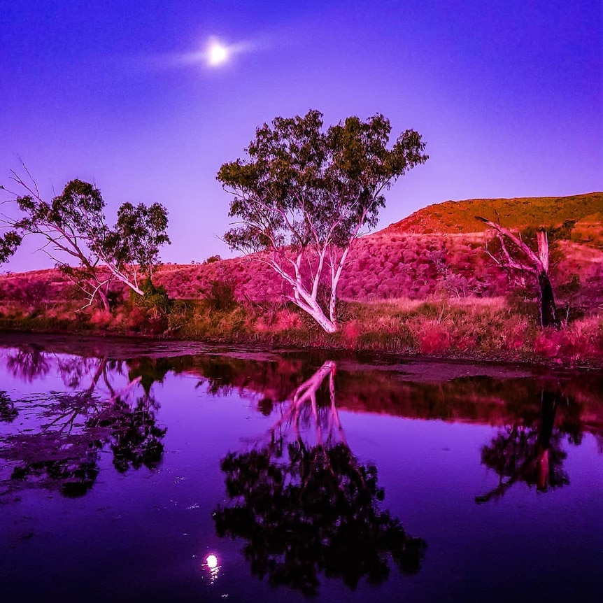 在西澳的Millstream Chichester国家公园看日落。