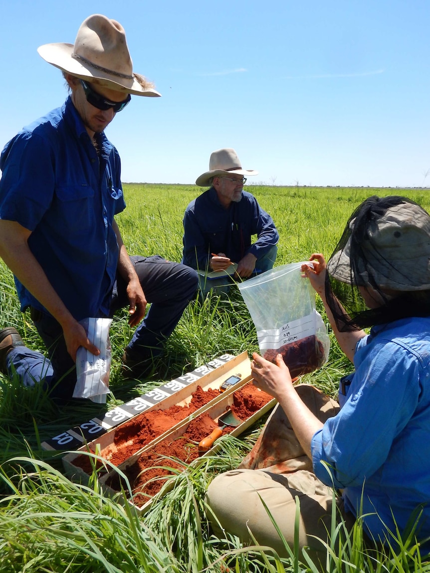 The Northern Territory Government examines soil in Central Australia