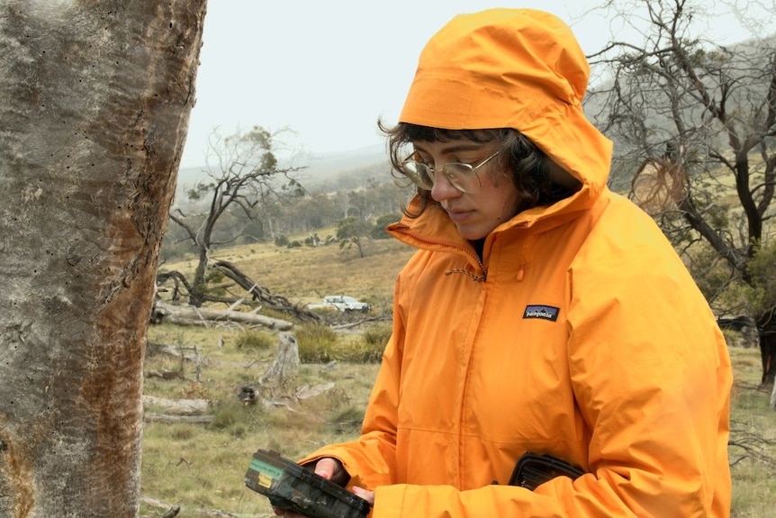 A woman in an orange rain coat holds audio equipment in the bush
