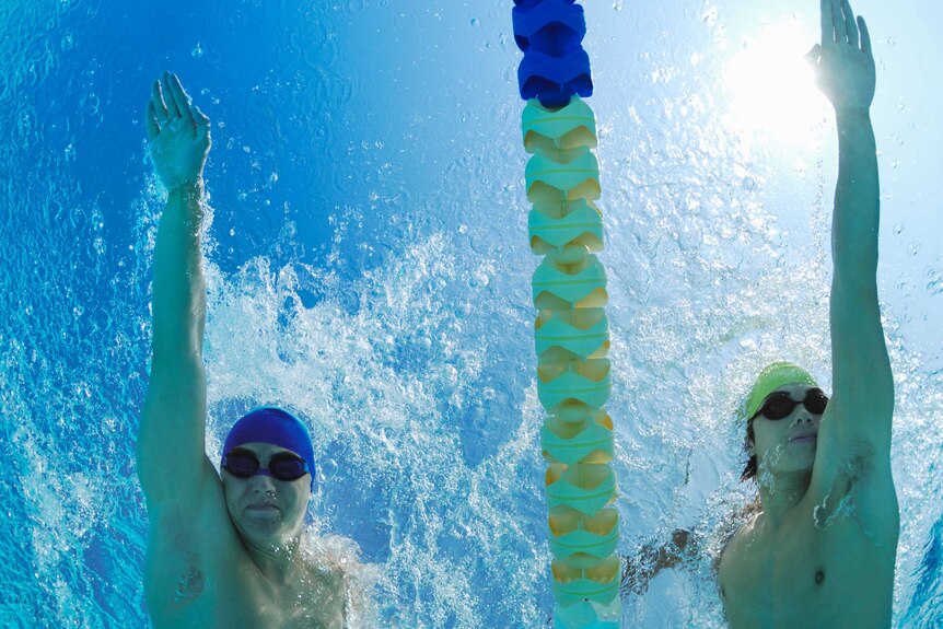 Competitive swimmers, view from below