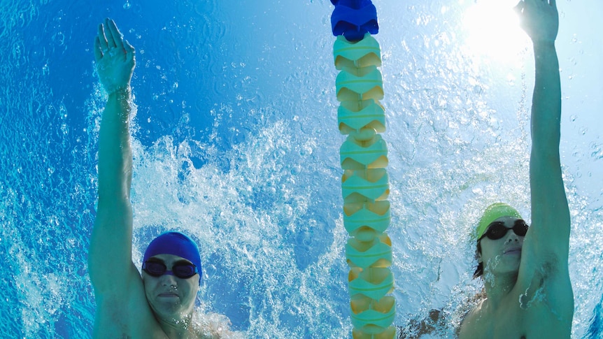 Competitive swimmers, view from below