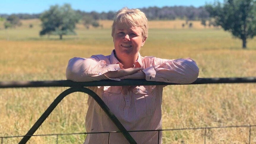 A woman leaning against a paddock fence.