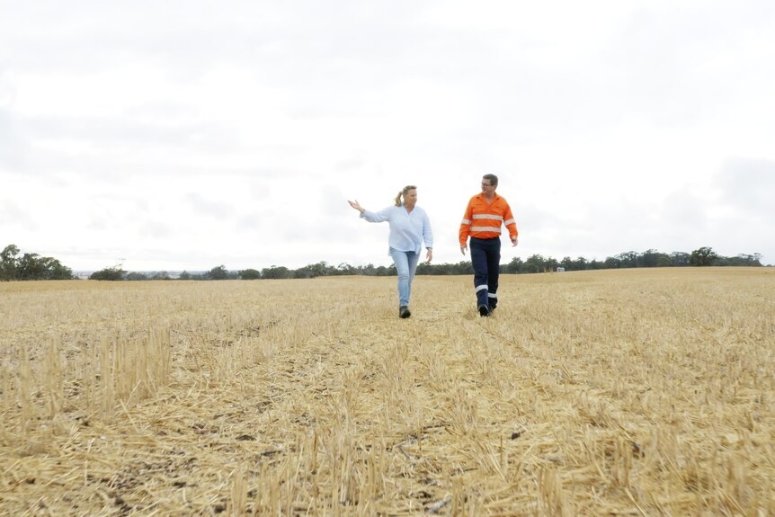 A man in high visibility and a woman in light clothing stand in a large field.