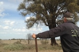Wimmera grain producer 'Pete' has spent three decades re-planting indigenous trees on his property.