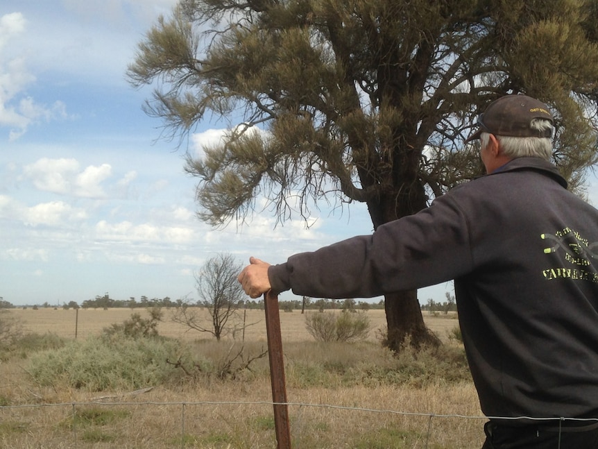 Wimmera grain producer 'Pete' has spent three decades re-planting indigenous trees on his property.