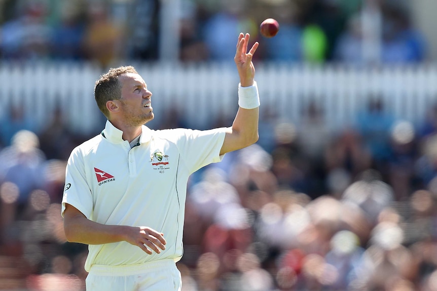 Siddle eyes inexperienced' South African batsmen