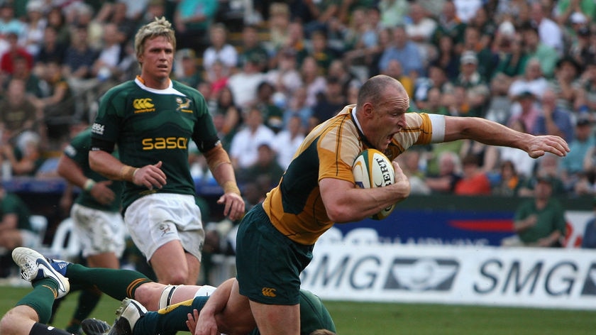 Stirling Mortlock says Australia's quarter-final loss to England will have no relevance this weekend.