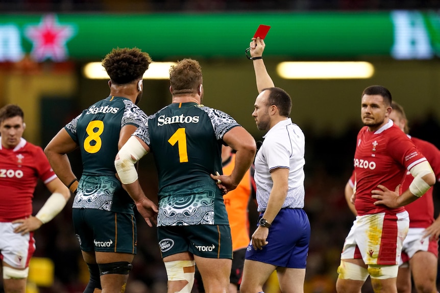 Un árbitro sostiene una tarjeta roja en alto, mientras dos jugadores de Wallabies y varios jugadores galeses miran.
