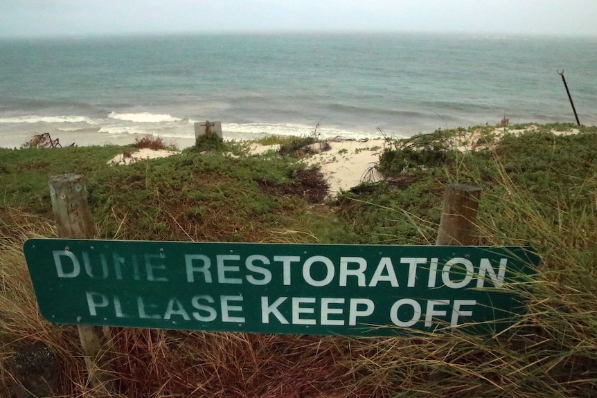 A sign reads 'dunes under restoration' at Ledge Point in WA.
