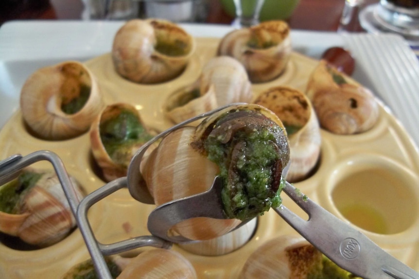 Snails, or escargot, on a plate in a restaurant.