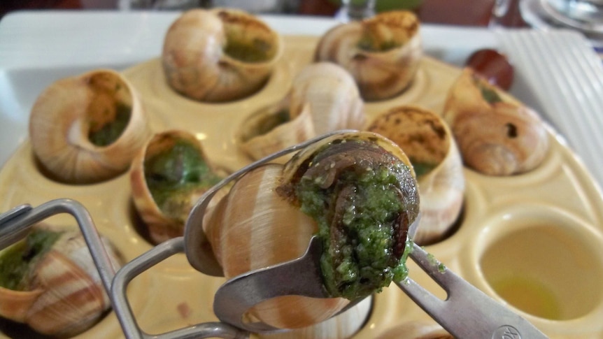 Snails, or escargot, on a plate in a restaurant