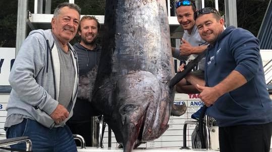 Four men standing next to a big fish hanging from a brace.