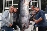 Four men standing next to a big fish hanging from a brace.