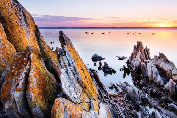 Check out the American River campsite on Kangaroo Island.