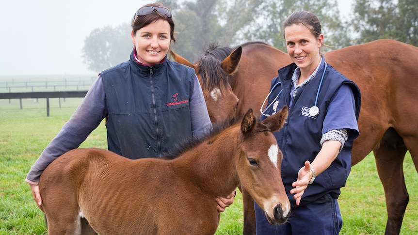 Two women standing behind a young foal with the foal's mother in the background.