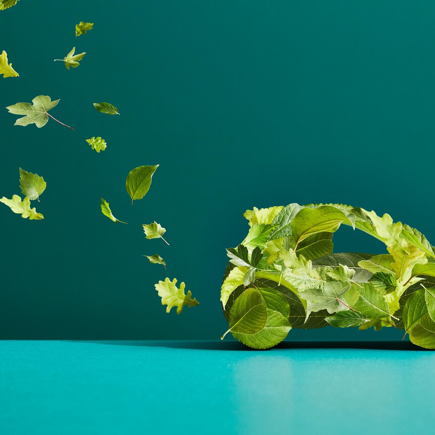 A car made of leaves with an exhaust trail of leaves
