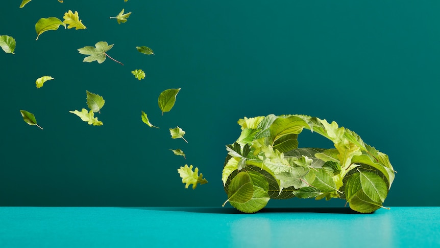 A car made of leaves with an exhaust trail of leaves