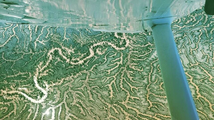 Water fills the channels which stretch like a web of fingers across the landscape, picture taken from a plane looking down.
