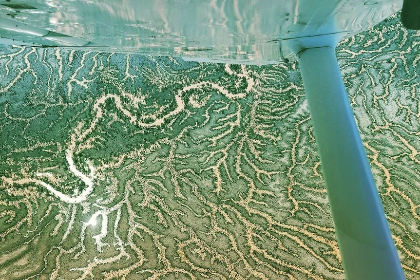 Water fills the channels which stretch like a web of fingers across the landscape, picture taken from a plane looking down.