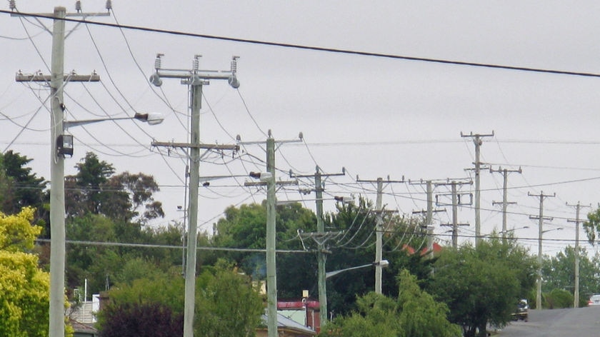 Power poles line a Tasmanian street.