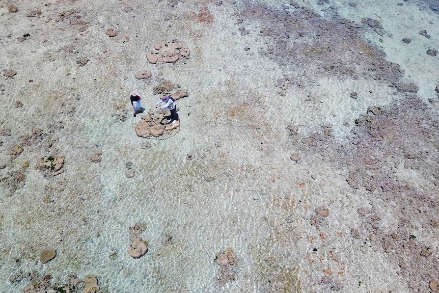 The reef from the air.